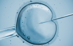 精子库申请使用供精人工受精有什么条件?